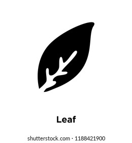 Leaf icon vector isolated on white background, logo concept of Leaf sign on transparent background, filled black symbol