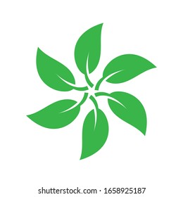 Leaf icon vector isolated on white background. Various shapes of green leaves of trees and plants. Elements for eco and bio logo