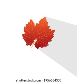 leaf icon vector isolated on white background