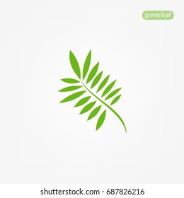 Leaf icon vector isolated on white background.