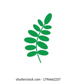 leaf icon vector isolated symbol illustration white background