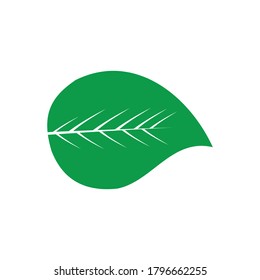 leaf icon vector isolated symbol illustration white background