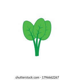 leaf icon vector isolated symbol illustration white background