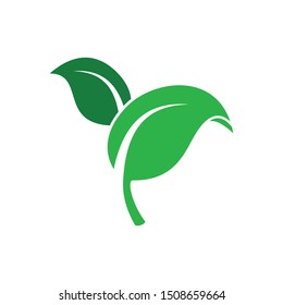 Leaf icon vector. Leaf logo illustration. Simple design on white background.