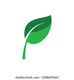Leaf icon vector. Leaf logo illustration. Simple design on white background.