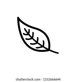 Leaf icon vector and logo style