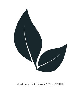 Leaf icon vector logo template