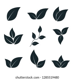 Leaf icon vector logo template