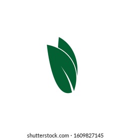 Leaf Icon Vector Logo Template