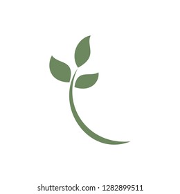 Leaf Icon vector Nature Logo Template