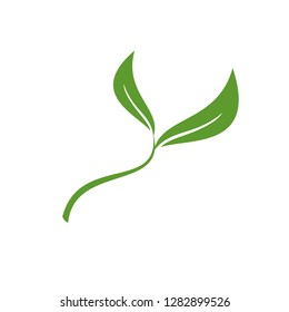 Leaf Icon vector Nature Logo Template