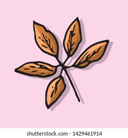 leaf icon vector on color background