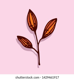 leaf icon vector on color background