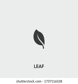 leaf icon. leaf vector on gray background