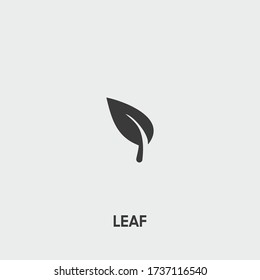 leaf icon. leaf vector on gray background