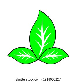 Leaf icon vector on white background. green leaf shape Element for eco friendly logos