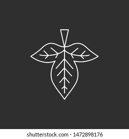 Leaf icon. Vector outline illustration svg