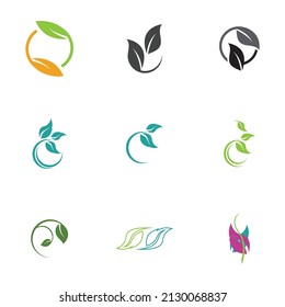 Leaf  icon vector set isolated on white background. Various shapes of green leaves of trees and plants. Elements for eco and bio logos