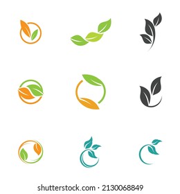 Leaf  icon vector set isolated on white background. Various shapes of green leaves of trees and plants. Elements for eco and bio logos