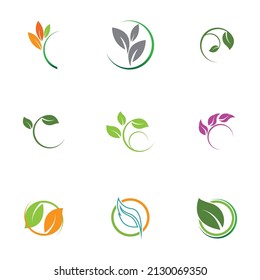 Leaf  icon vector set isolated on white background. Various shapes of green leaves of trees and plants. Elements for eco and bio logos