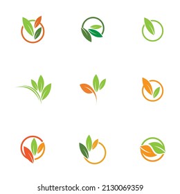 Leaf  icon vector set isolated on white background. Various shapes of green leaves of trees and plants. Elements for eco and bio logos