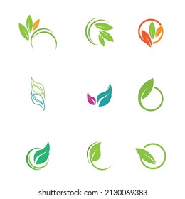 Leaf  icon vector set isolated on white background. Various shapes of green leaves of trees and plants. Elements for eco and bio logos