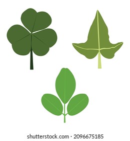 Leaf icon vector set on a white background. Various shapes of leaves of green trees and plants. For eco, bio, and logo elements.