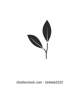 leaf Icon vector sign isolated for graphic and web design. leaf symbol template color editable on white background.