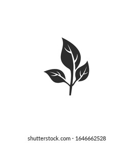 leaf Icon vector sign isolated for graphic and web design. leaf symbol template color editable on white background.