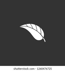 leaf icon vector. leaf sign on black background. leaf icon for web and app