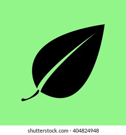 Leaf icon vector, solid illustration, flat pictogram