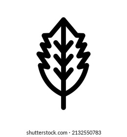 Leaf Icon Vector Symbol Design Illustration