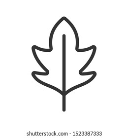 Leaf icon vector symbol illustration EPS 10