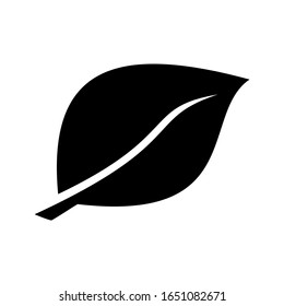 leaf icon, leaf icon vector, in trendy flat style isolated on white background. leaf icon image, leaf icon illustration eps 10