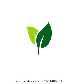 leaf icon vegan symbol logo template design element