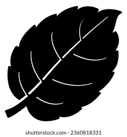 Icono de hoja con sección transversal vetada y bordes dentados