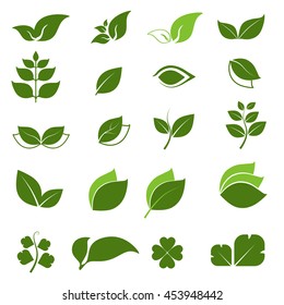 leaf icon with white background 2