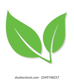 leaf icon with white background