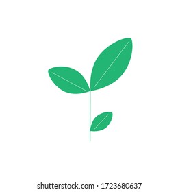 Leaf icon with White Background Design