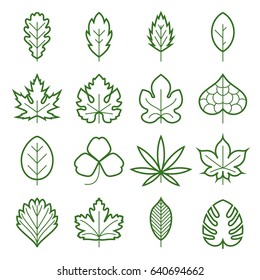 Leaf icons. Collection of green linear symbols of leaves, such as maple, fig-leaf, oak, grape, clover, hemp, chestnut, etc. Vector illustration. Editable stroke