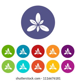 Leaf icons color set vector for any web design on white background