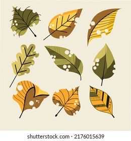 Leaf icons colored classic  sketch vector