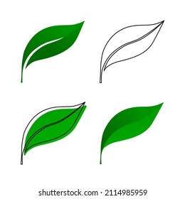 Iconos de hoja y conjunto de logotipos. Iconos de hojas de contorno y relleno