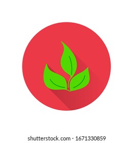 Leaf Icons with a long shadow. Ecology Vector trendy colored symbols. Eco concept