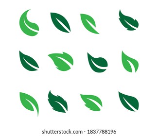 iconos de la hoja ajuste natural en fondo blanco. conjunto de iconos de hoja verde. hojas verdes trazadas. iconos de hojas de hoja ajustados. ilustración vectorial.
