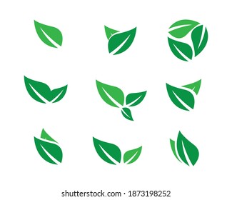 leaf icons natural set on white background. set of green leaf icons. drawn green  leaves set. leaf leaves icons set. vector illustration.