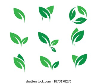 leaf icons natural set on white background. set of green leaf icons. drawn green  leaves set. leaf leaves icons set. vector illustration.