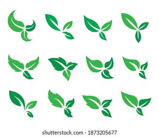 leaf icons natural set on white background. set of green leaf icons. drawn green  leaves set. leaf leaves icons set. vector illustration.