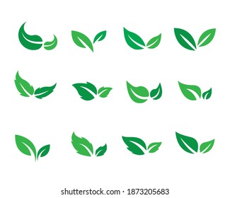 leaf icons natural set on white background. set of green leaf icons. drawn green  leaves set. leaf leaves icons set. vector illustration.