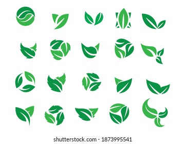 leaf icons natural set on white background. set of green leaf icons. drawn green  leaves set. leaf leaves icons set. vector illustration.